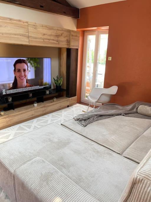 Appartement De Charme 80M2 Givors Exterior foto