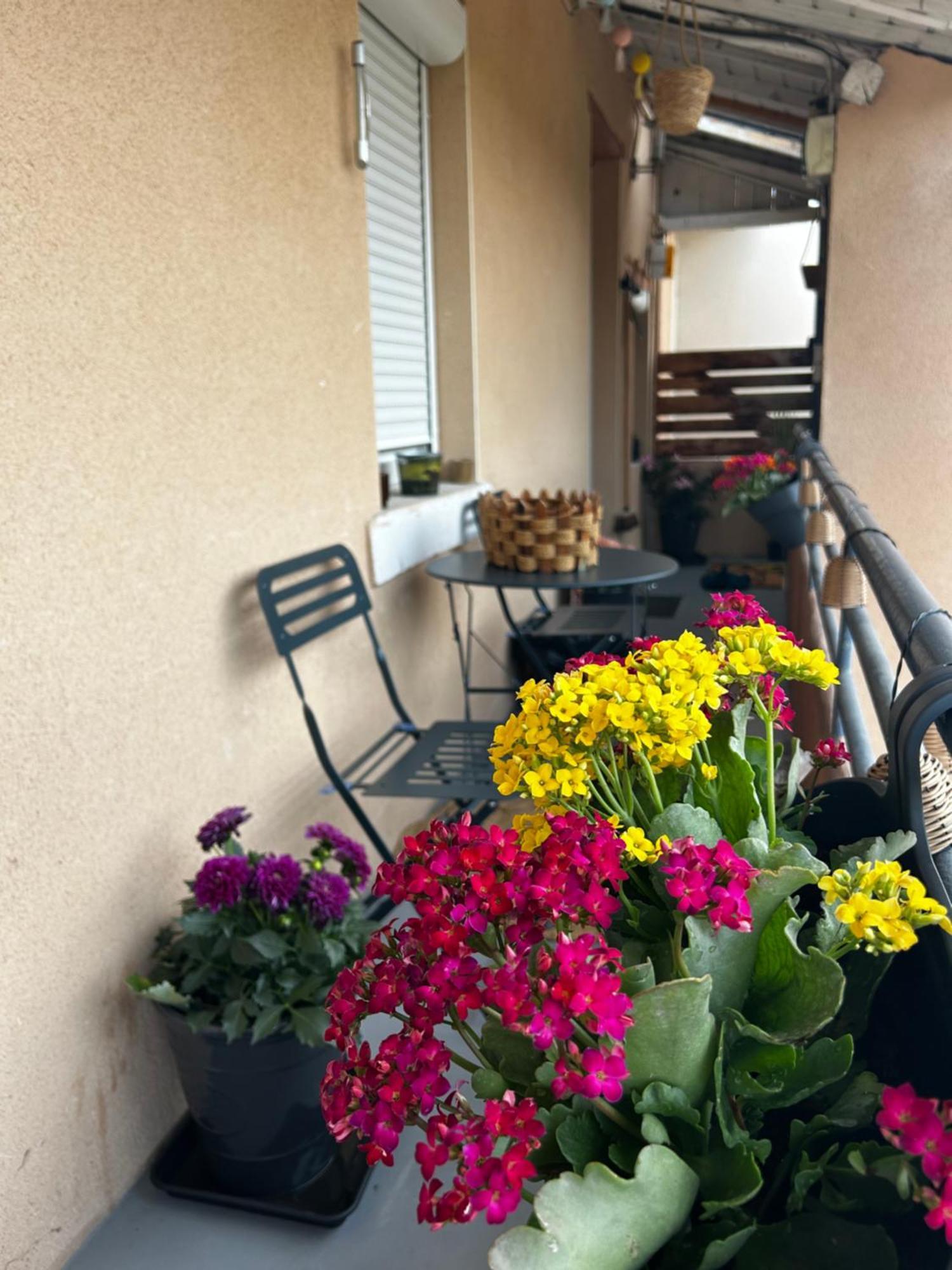 Appartement De Charme 80M2 Givors Exterior foto